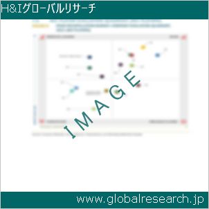 グローバルリサーチ調査レポートのイメージ